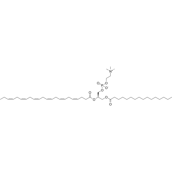 Palmitoyldocosahexaenoyl phosphatidylcholine 59403-54-2
